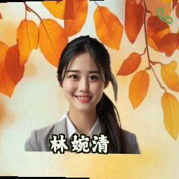 林婉清